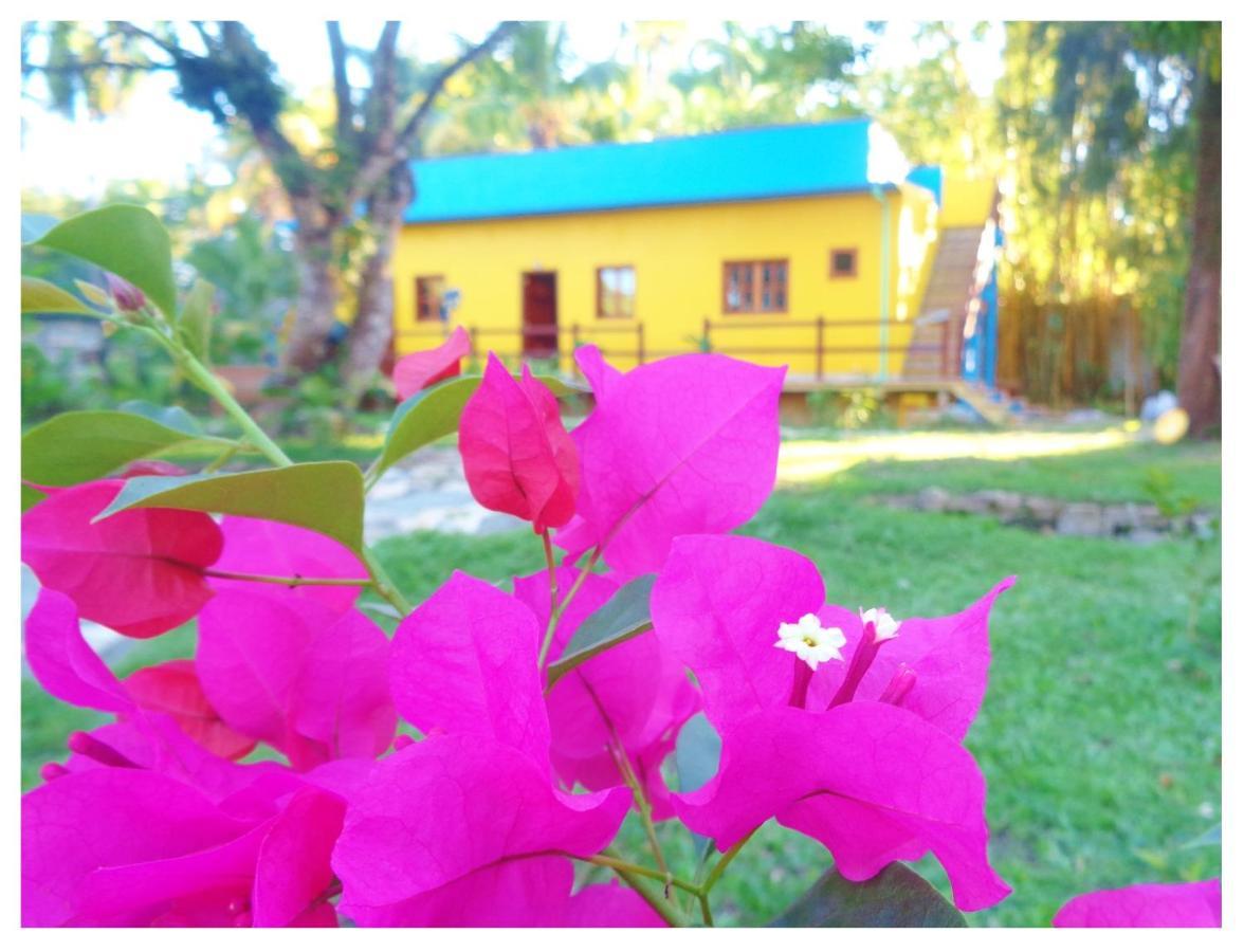 Livingston Resort Hotel *